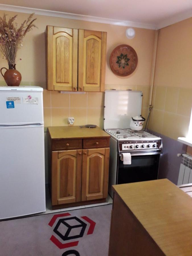 カームヤネツィ・ポジーリシクィイApartament On Levanevskogo 2アパートメント エクステリア 写真